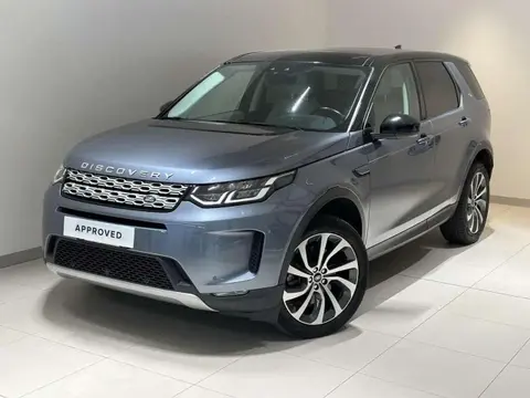 Used LAND ROVER DISCOVERY Hybrid 2020 Ad 