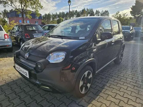 Used FIAT PANDA Hybrid 2023 Ad 