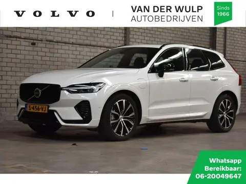 Used VOLVO XC60 Hybrid 2023 Ad 