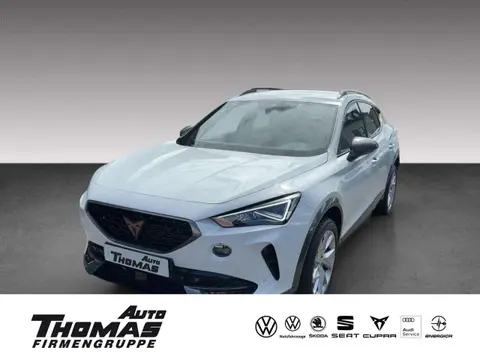 Used CUPRA FORMENTOR Diesel 2023 Ad 