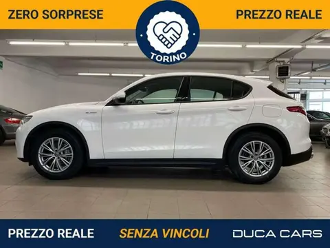 Used ALFA ROMEO STELVIO Diesel 2020 Ad 