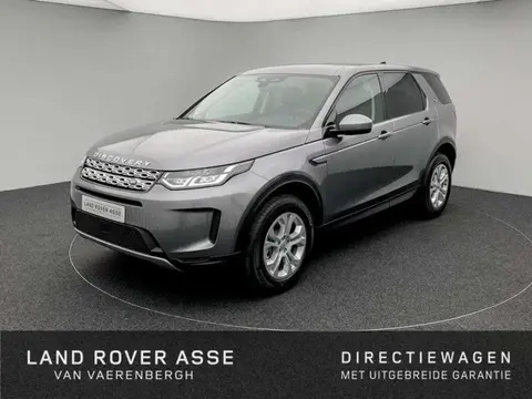 Used LAND ROVER DISCOVERY Diesel 2022 Ad 