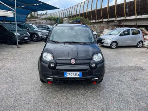 Used FIAT PANDA Hybrid 2024 Ad Italy