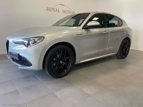 Used ALFA ROMEO STELVIO Petrol 2020 Ad 