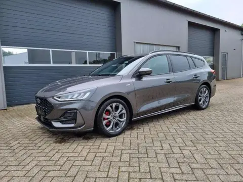 Annonce FORD FOCUS Essence 2024 d'occasion 