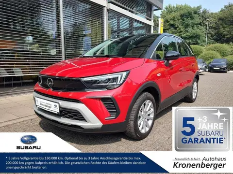 Annonce OPEL CROSSLAND Essence 2021 d'occasion 