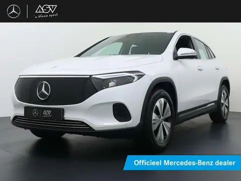 Annonce MERCEDES-BENZ EQA Électrique 2024 d'occasion 