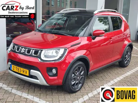 Used SUZUKI IGNIS Hybrid 2024 Ad 