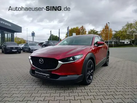 Annonce MAZDA CX-30 Essence 2020 d'occasion 