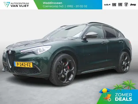 Used ALFA ROMEO STELVIO Petrol 2022 Ad 