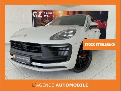 Used PORSCHE MACAN Petrol 2024 Ad 