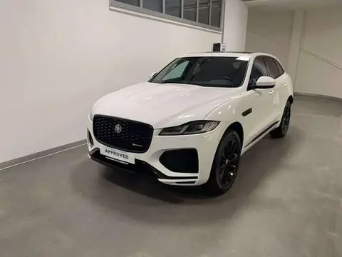 Used JAGUAR F-PACE Hybrid 2023 Ad 