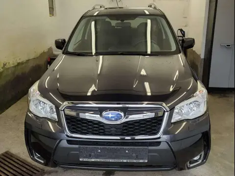 Used SUBARU FORESTER Diesel 2016 Ad 