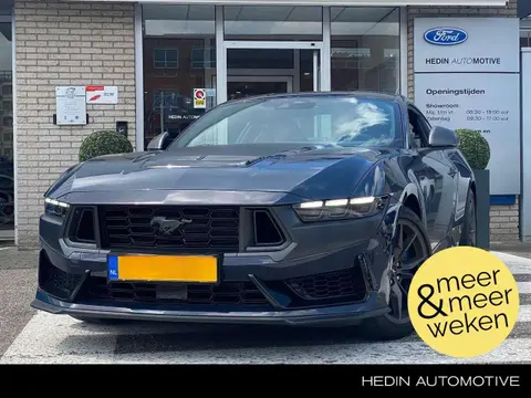 Annonce FORD MUSTANG Essence 2024 d'occasion 