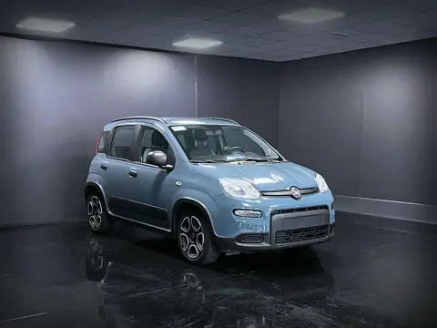 Used FIAT PANDA Hybrid 2021 Ad 