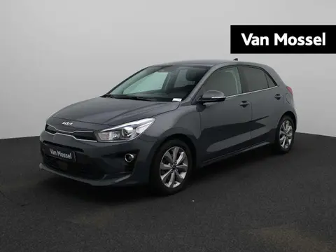 Used KIA RIO Petrol 2022 Ad 