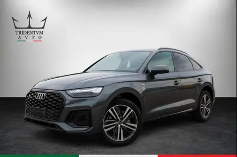 Used AUDI Q5 Hybrid 2021 Ad 