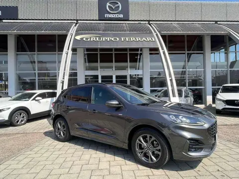 Used FORD KUGA Hybrid 2020 Ad 