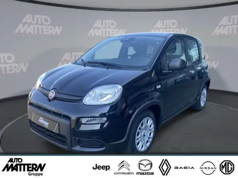 Used FIAT PANDA Petrol 2024 Ad 