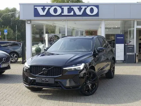 Used VOLVO XC60 Hybrid 2024 Ad 