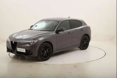 Used ALFA ROMEO STELVIO Diesel 2019 Ad 