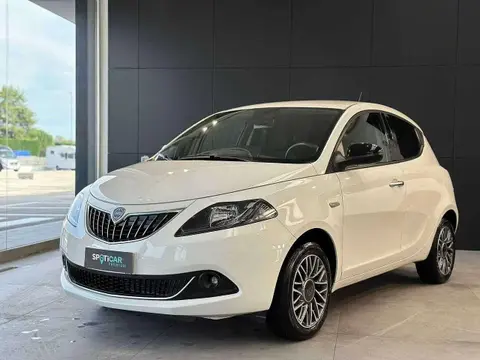 Used LANCIA YPSILON Petrol 2023 Ad 