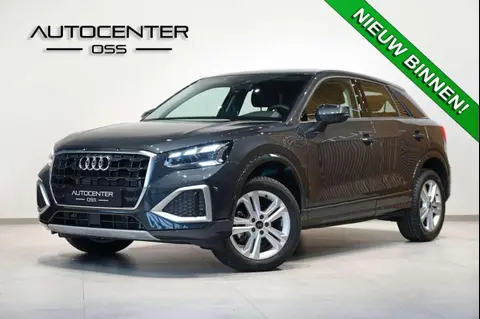 Annonce AUDI Q2 Essence 2024 d'occasion 