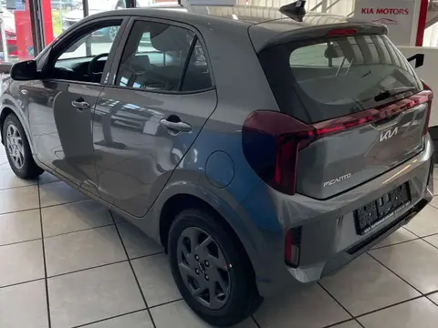 Annonce KIA PICANTO Essence 2024 d'occasion 