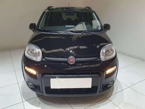 Used FIAT PANDA Hybrid 2023 Ad 