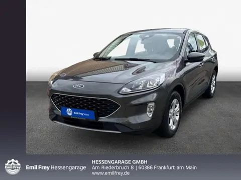 Annonce FORD KUGA Hybride 2022 d'occasion 