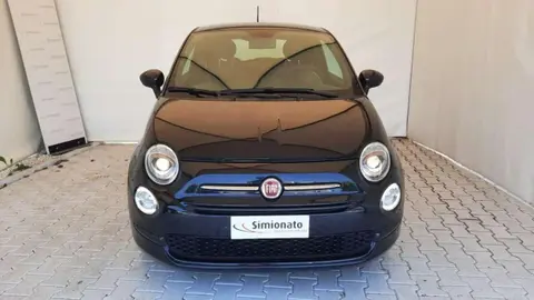 Used FIAT 500 Petrol 2023 Ad 