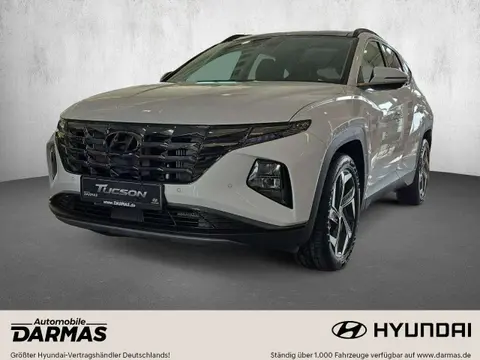 Used HYUNDAI TUCSON Petrol 2024 Ad 