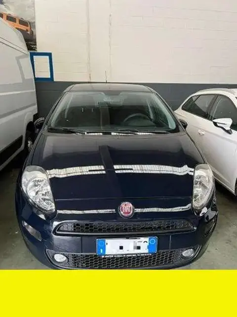 Used FIAT PUNTO Petrol 2016 Ad 