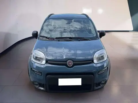 Annonce FIAT PANDA Hybride 2021 d'occasion 