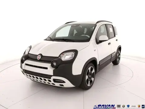 Annonce FIAT PANDA Hybride 2024 d'occasion 