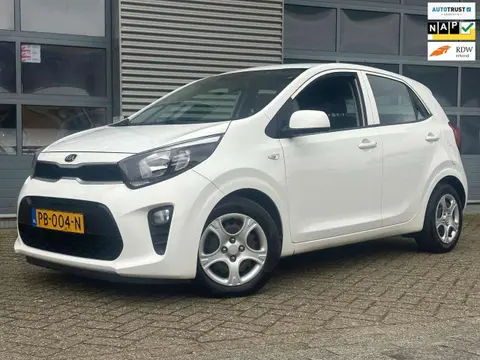 Used KIA PICANTO Petrol 2017 Ad 