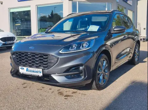 Annonce FORD KUGA Essence 2023 d'occasion 