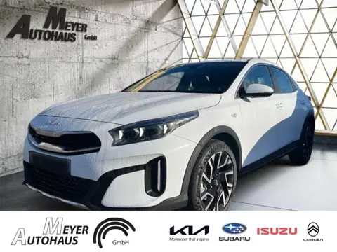 Annonce KIA XCEED Essence 2024 d'occasion 