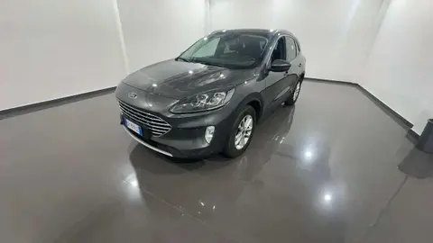 Annonce FORD KUGA Diesel 2023 d'occasion 