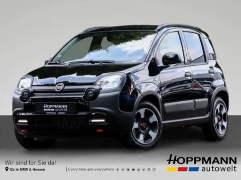 Used FIAT PANDA Petrol 2024 Ad 