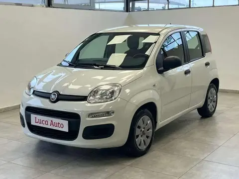 Used FIAT PANDA Petrol 2019 Ad 