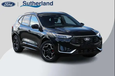 Annonce FORD KUGA Hybride 2024 d'occasion 