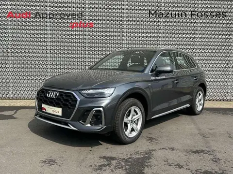 Used AUDI Q5 Hybrid 2024 Ad 