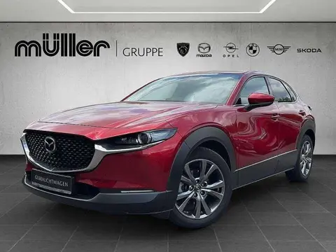 Annonce MAZDA CX-30 Essence 2021 d'occasion 