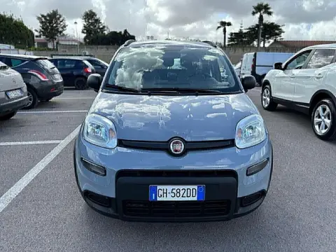 Used FIAT PANDA Hybrid 2021 Ad 