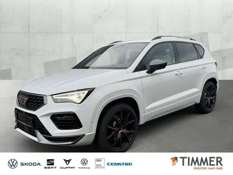 Annonce CUPRA ATECA Essence 2024 d'occasion 