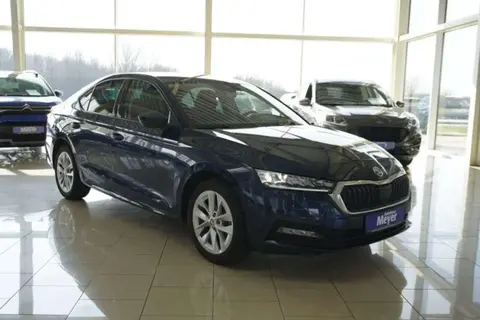 Used SKODA OCTAVIA Petrol 2022 Ad 