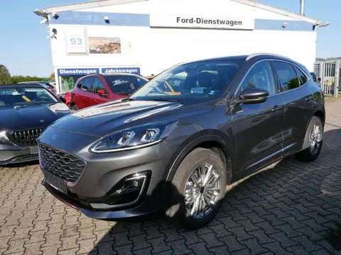 Annonce FORD KUGA Hybride 2024 d'occasion 