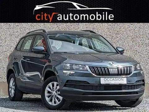 Used SKODA KAROQ Diesel 2019 Ad 