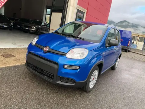 Used FIAT PANDA Hybrid 2024 Ad 